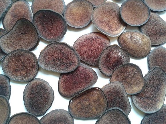 驯鹿茸活跃在中国鹿茸市场|鹿茸|活跃|驯鹿_新浪新闻