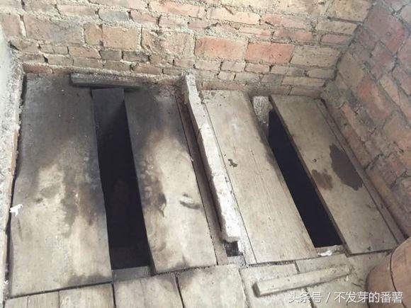 一组农村旱厕的照片比印度还脏还臭