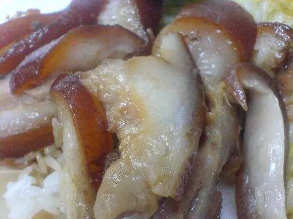 恶心小编对肥肉也的是一生黑有的女生说肥肉看一眼就会胃里翻滚【2】