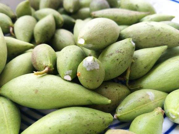 说起地稍瓜,不得不说下这种野果的奇葩之处,它长的很奇怪,在地稍瓜