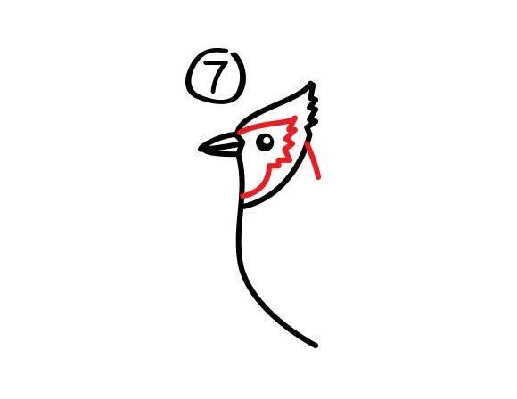 8种常见飞鸟类育儿简笔画开发宝宝智力简单又好画