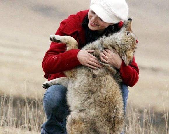 女子救下幼狼,养大后放归自然,再次相遇时狼像个孩子和她拥抱!