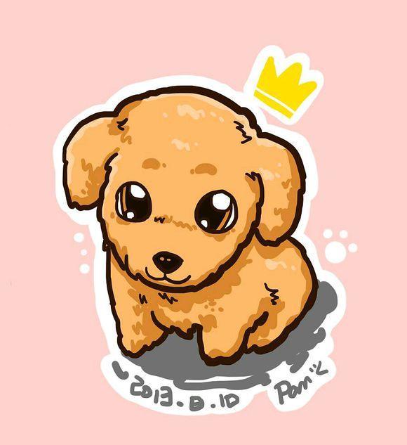 陪伴两年的泰迪意外去世女孩听到狗狗不幸消息后情绪一下子失控