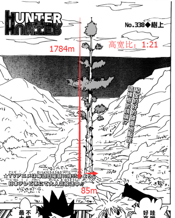 全职猎人从漫画中透露的信息金应该去过大世界树