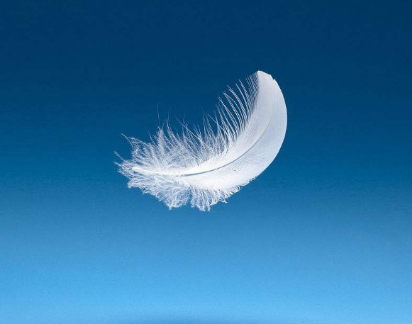 把羽毛从太空扔入地球,它会被烧毁还是飘落到地上?