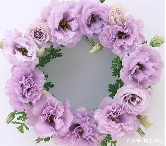 十二星座代表的花环,处女座的唯美,谁都美不过射手座!