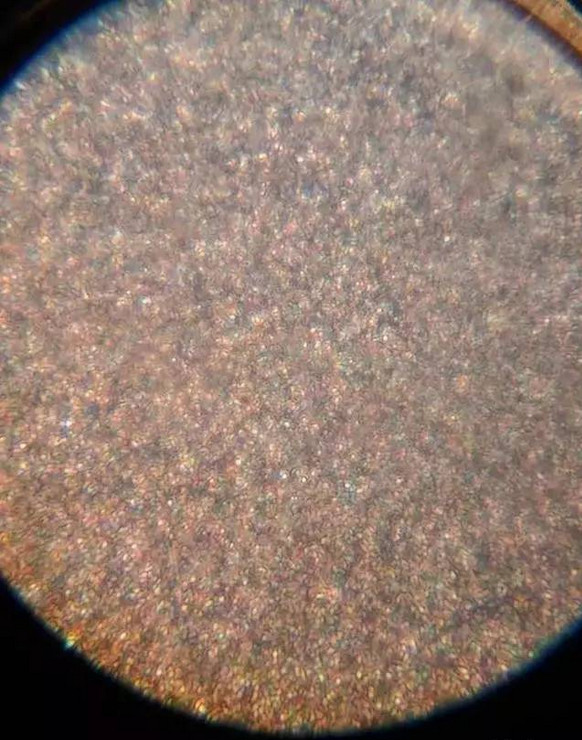 国外一妈妈把母乳和奶粉放到显微镜下进行对