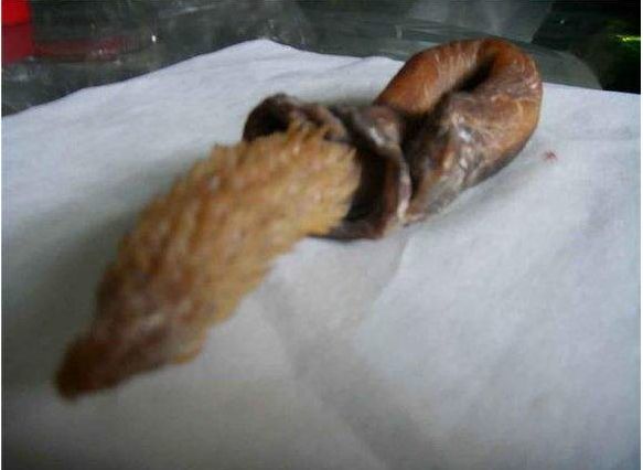 如今去农村铲地皮,好货很难见到,不过乐趣还是挺多的!