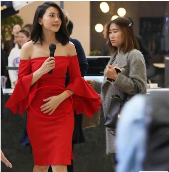 高圆圆终于承认怀上了?这肚子都大到藏不住了,赵又廷宠溺护妻!