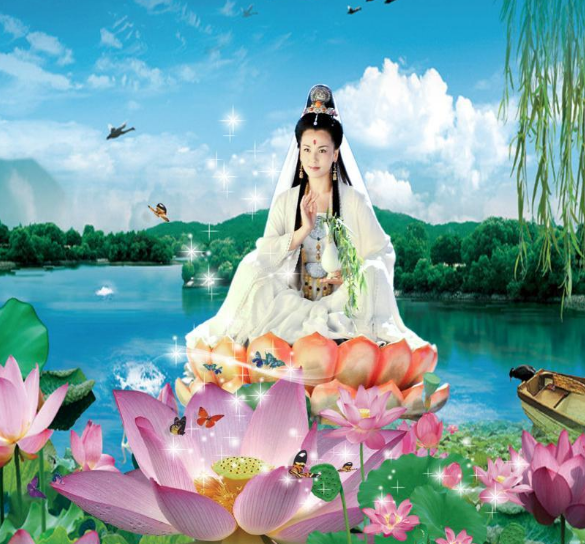 莲花在佛教中的意义竟然这么大!