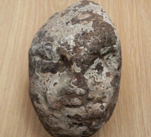 意外捡到酷似人头化石姐妹俩夜夜梦见男巨人