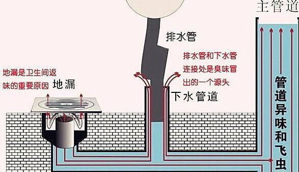 地漏可以走马桶下水管吗感谢老师傅给出良心建议排水变得超快