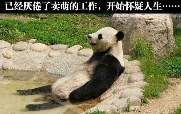 搞笑八张图(98)