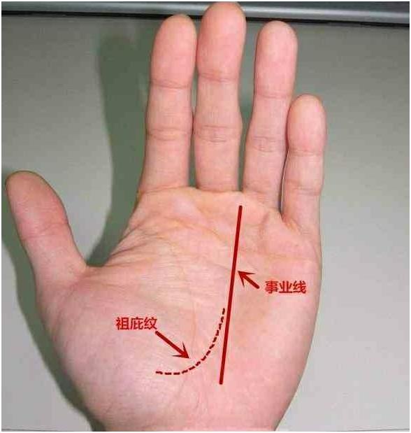 最后再来讲一下祖庇纹,祖庇纹与手相的事业线相连,这条手相纹路就叫祖