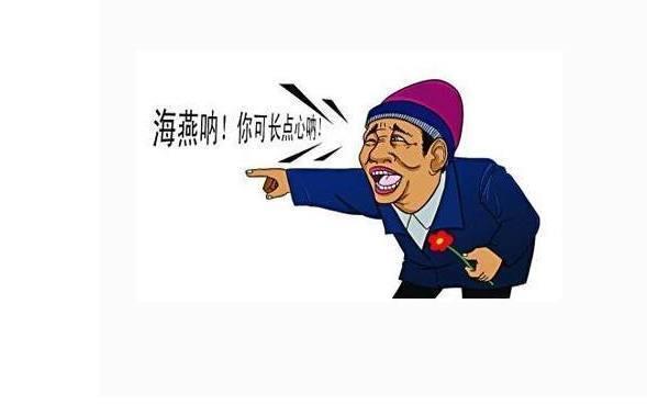 海燕呐,你可长点心吧!