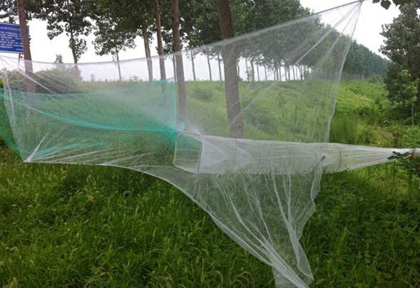 孙膑智斗庞涓的迷魂阵渔民用在捕鱼上迷魂阵捕鱼完虐其他方法