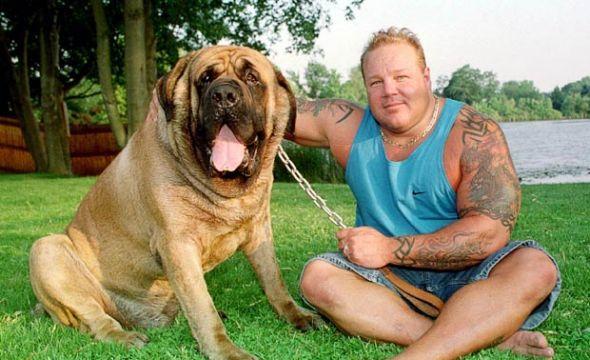 十二种世界上最大的动物汇总,你知道几个?