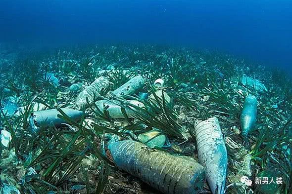 在一堆垃圾上成立一个新国家?居然有12万人申请公民资格