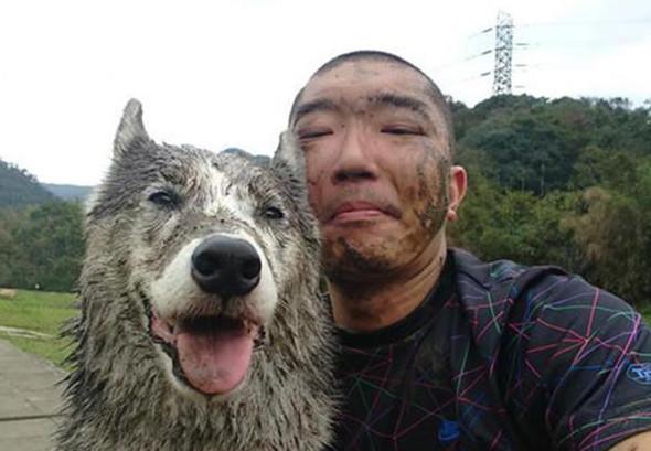 这不,就有一位养了二哈的网友,日前晒出了一组图片,是满脸污泥的自己