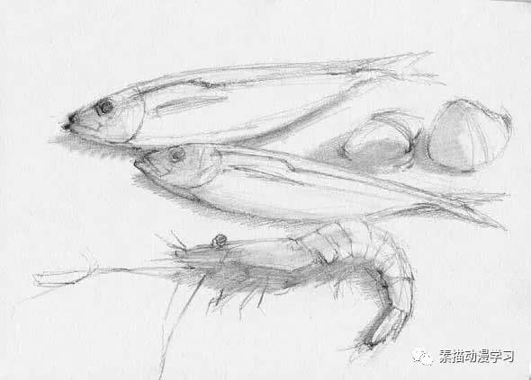 竹荚鱼|质感|素描_新浪新闻