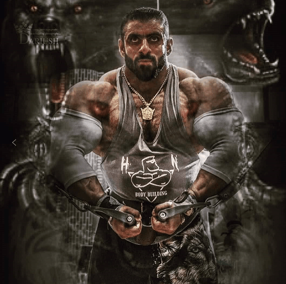 伊朗退伍老兵, 7年苦行僧健美, 身材堪称肌肉战狼
