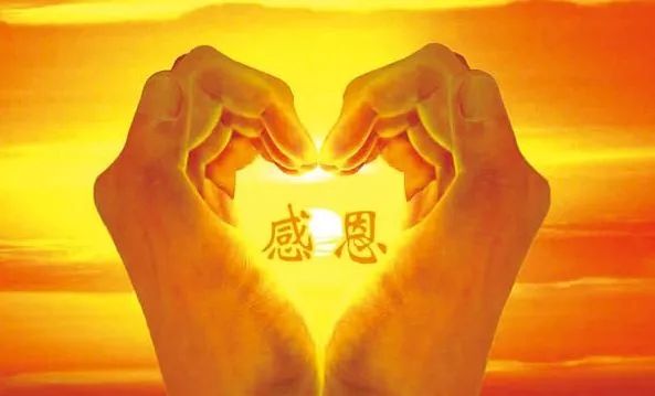 一个人相信什么,他未来的人生就会靠近什么|麦基|人生|感恩_新浪新闻