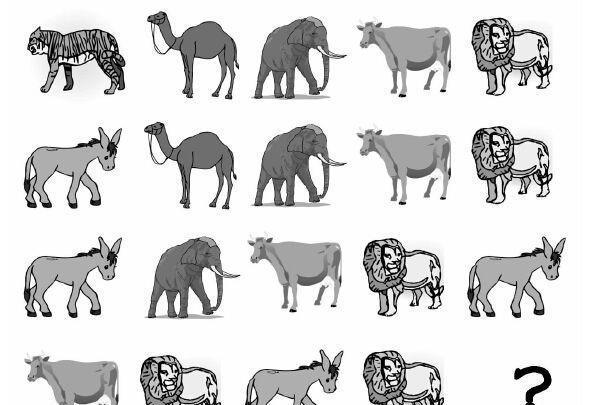 找出图中规律,说出问号处应填哪种动物(答案及分析会在我的微头条里