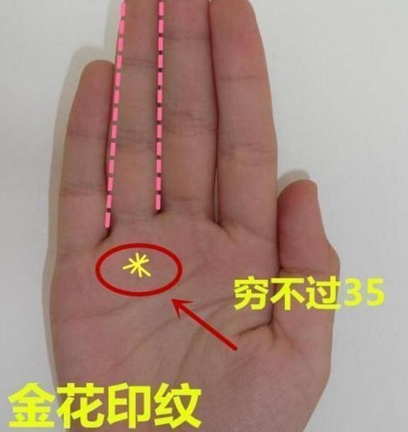 巴掌上有金花纹一生多金又长命,非富即贵的象征|手相|运势|金花_新浪