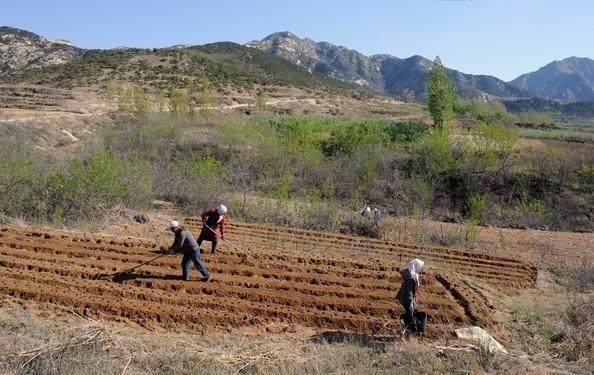 也就是说开荒地属于村集体的,但是有的土地是个人开荒的,毕竟付出了