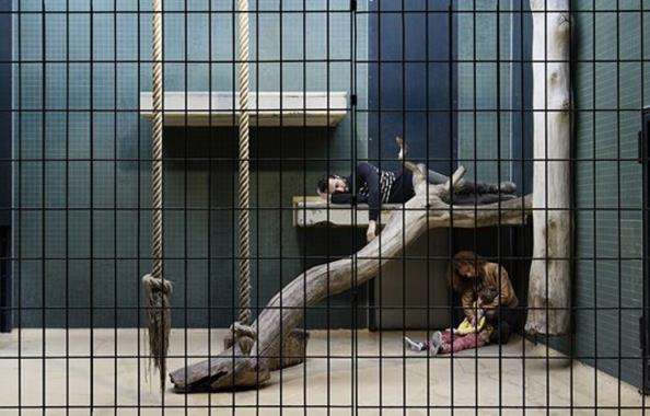 把你关在笼子里一年, 不做事还给你880万你做吗?