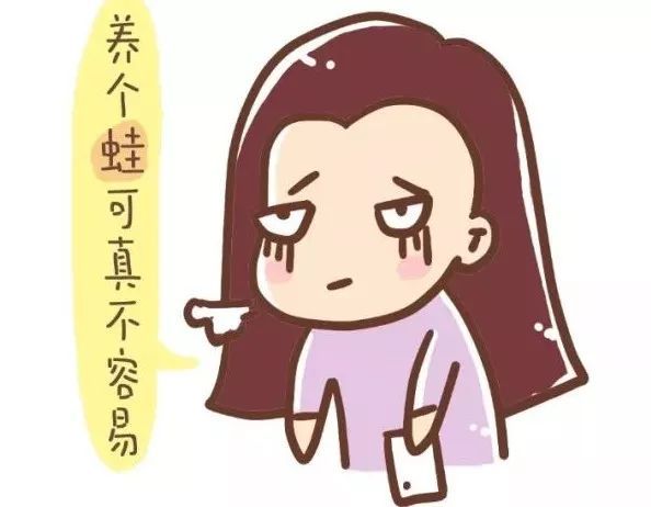 说养蛙累心的,来养个娃试试?