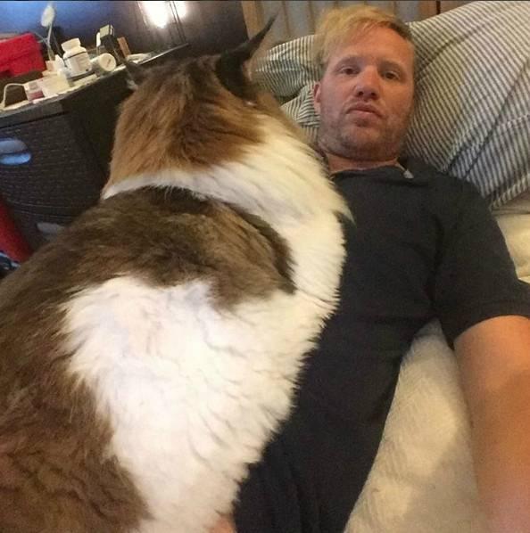 号称世界上体型最大的一只猫…… 身长1.2米,体重13公斤