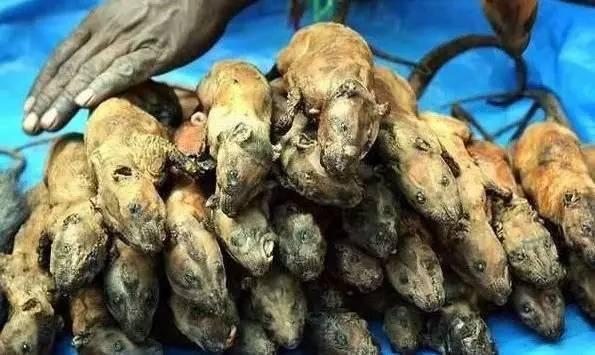 非洲人吃的街边美食,中国人看了心惊胆战!一般人不敢尝!