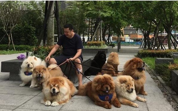 这究竟是人遛狗，还是狗溜人？