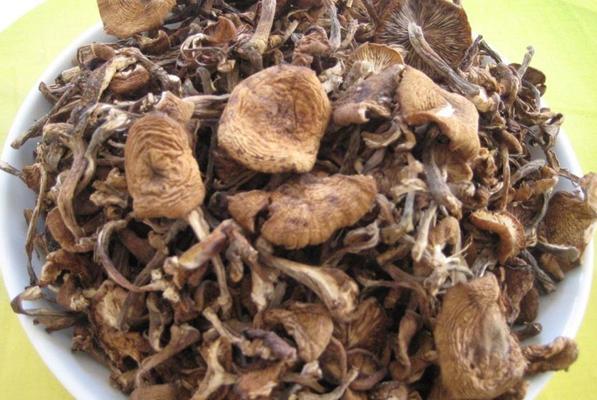 东北菜|榛蘑|小鸡炖蘑菇_新浪新闻