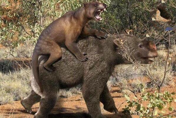 袋狮地球上咬合力最强的哺乳动物除恐龙以外最凶残的动物