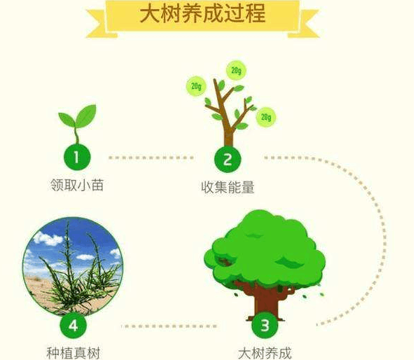 支付宝蚂蚁森林什么时候领树