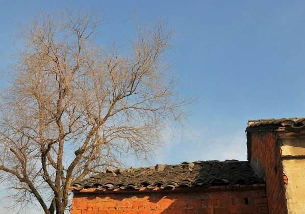 祖孙三人共用一个姓名,孙子水旜老奶奶的悲情往事,让人唏嘘落泪