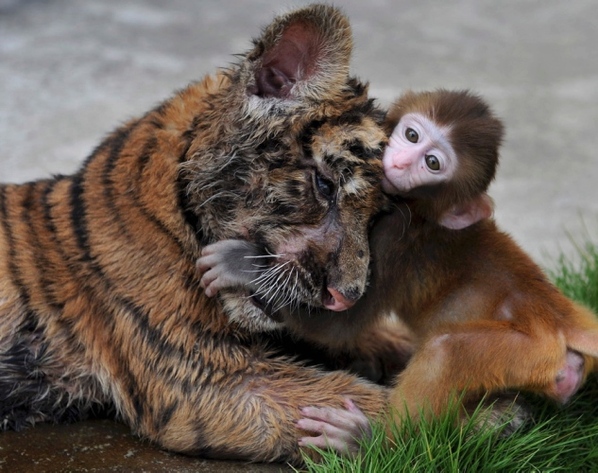 爱情不分国界不分年龄不分种族不过这也太奇葩了吧