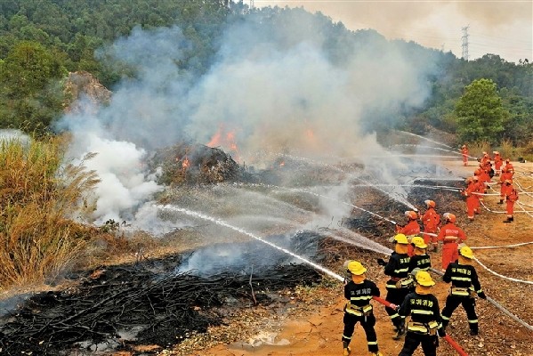 宝安开展处置森林火灾演习