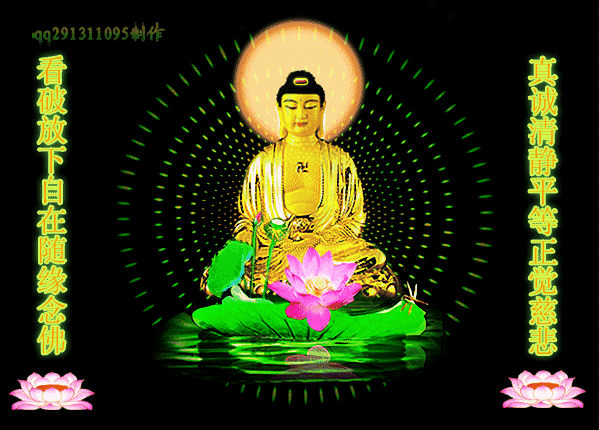 世界和平有幸福|莲花|和平|幸福_新浪新闻