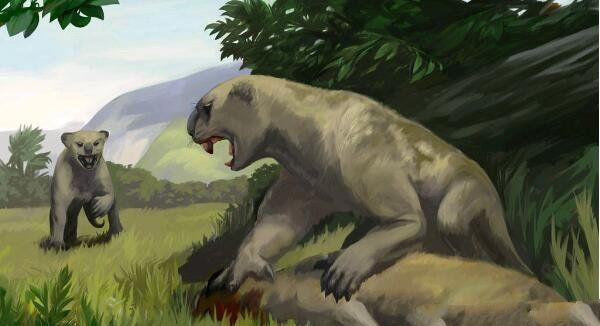 袋狮地球上咬合力最强的哺乳动物除恐龙以外最凶残的动物