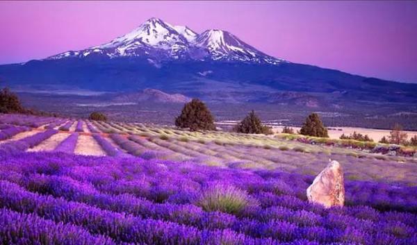 欧洲游几月份去合适不再遗憾,告诉你欧洲各国