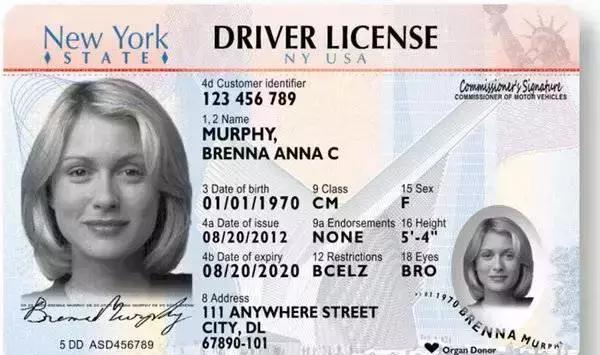 世界各地的驾照都长什么样子?看来我们的驾照不是最丑的-新浪汽车