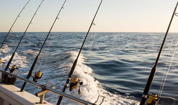 放长线钓大鱼,在小鱼群中钓到大鱼,钓鱼人必知