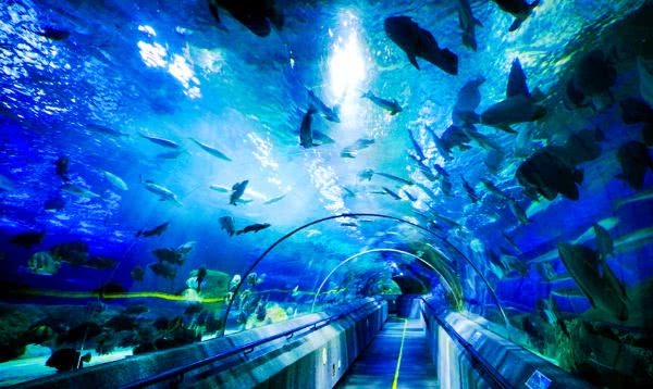 这里曾经也是一片海洋