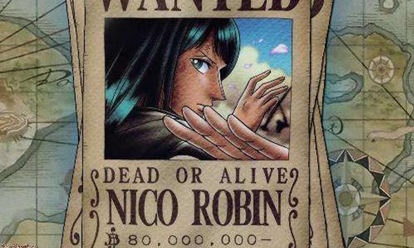 首先罗宾,罗宾上通缉令,其一她是海贼,她有恶魔果实,她的实力也不错