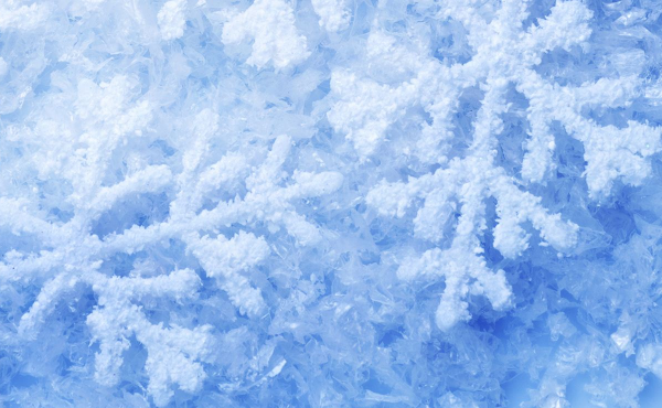 心理测试:4片雪花,哪个最美?测出你的真实性格,网友:神准!