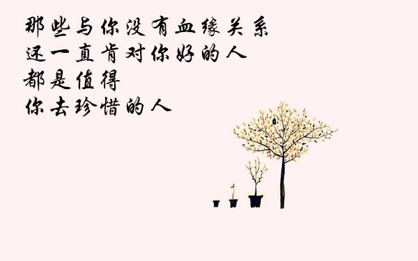9那些与你没有血缘关系还一直肯对你好的人,都是值得你去珍惜的人.