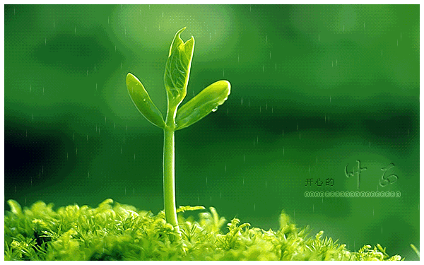 大地一片生机勃勃,欣欣向荣枝头的嫩芽终于被春风拂出了绿色